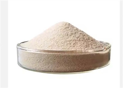 Protirakovinové mechanizmy salinomycínu pri rakovine prsníka a jeho klinické ...